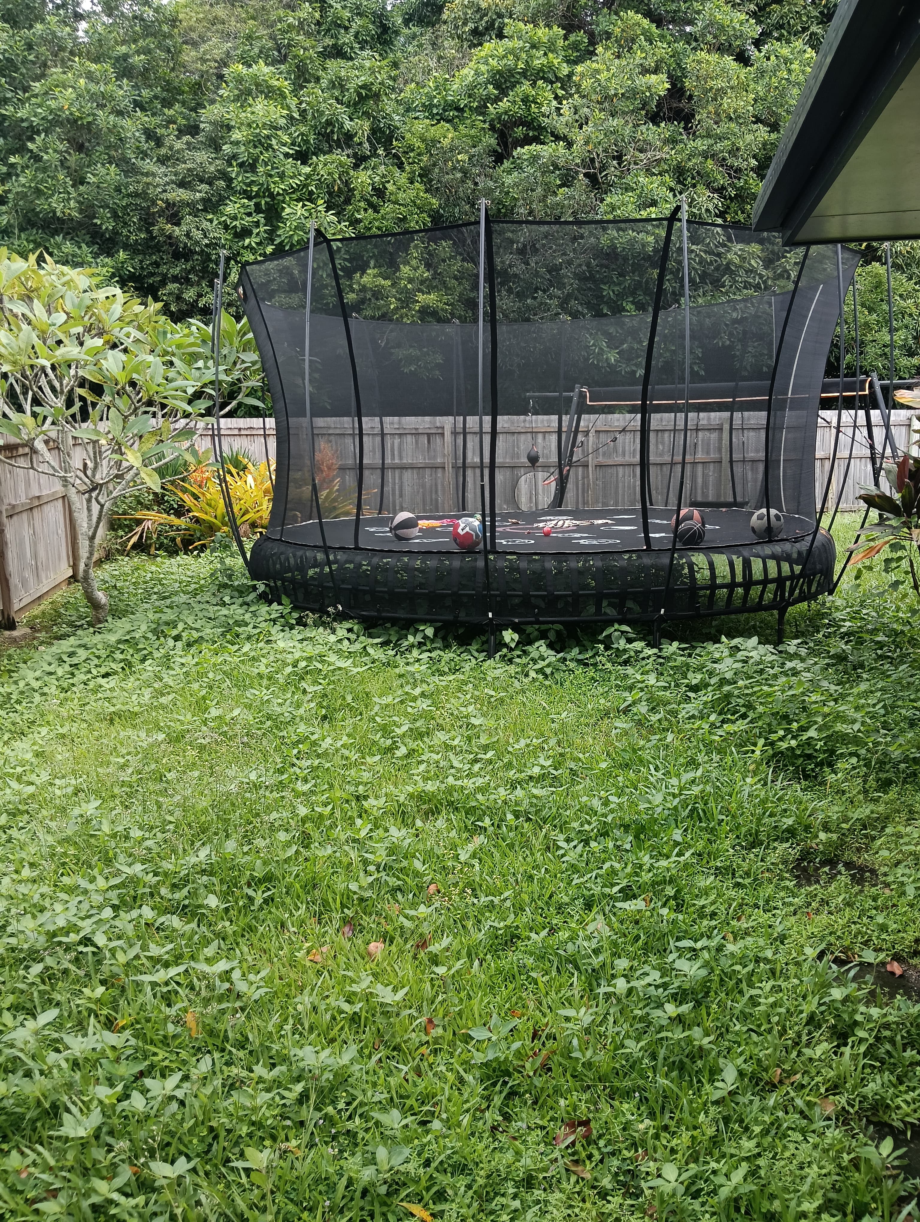 Lawn transformation - Before