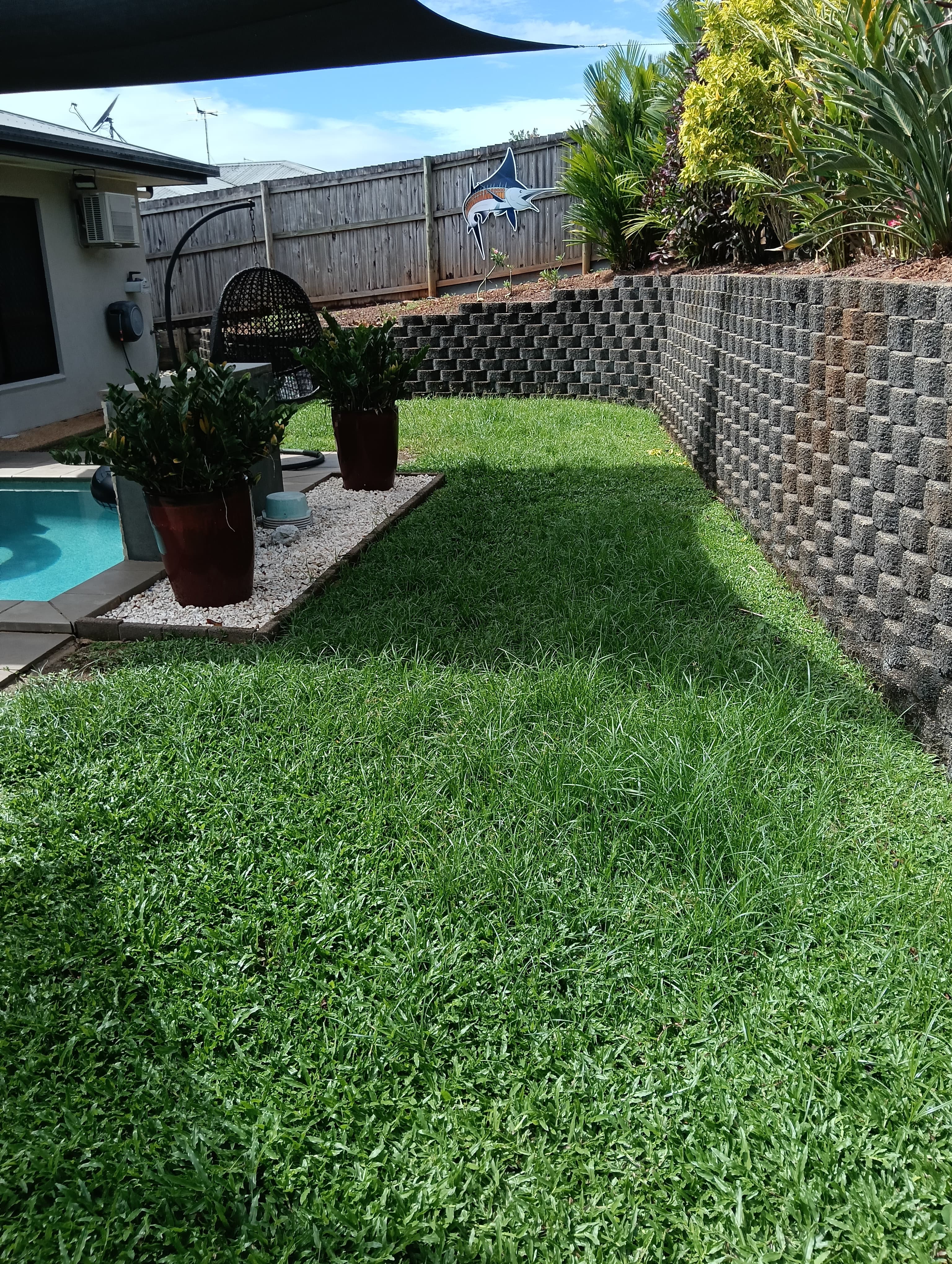 Garden transformation - Before