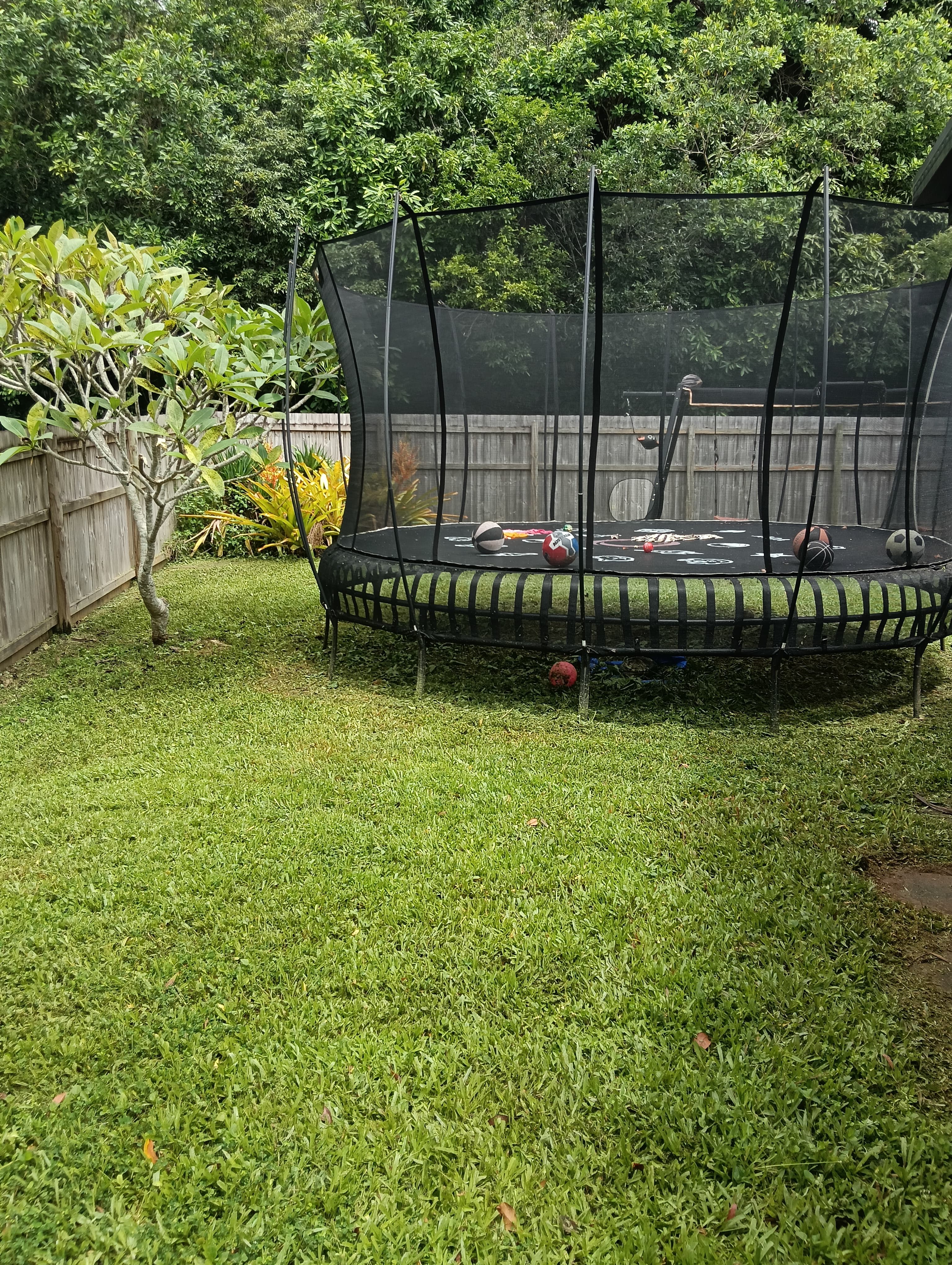 Lawn transformation - After