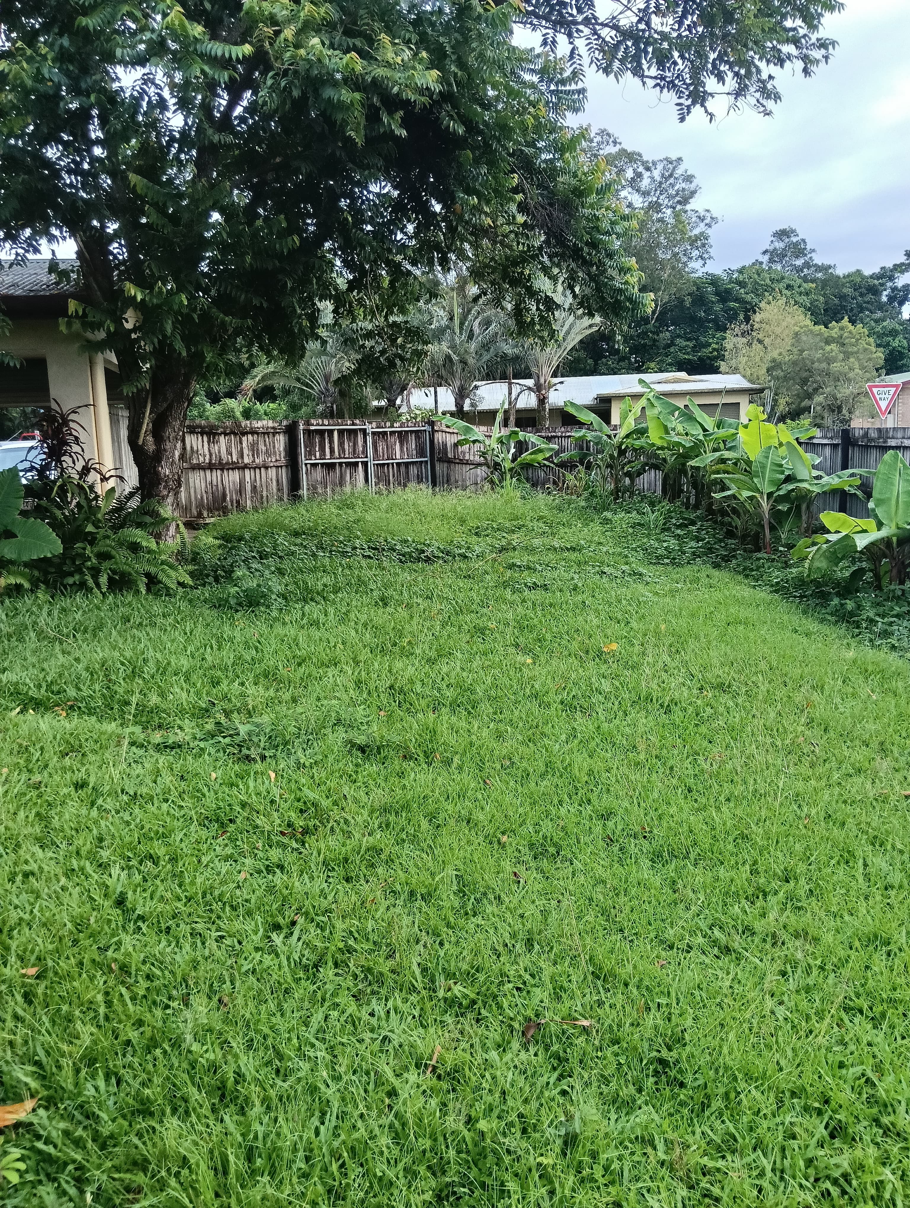 Garden cleanup - Before