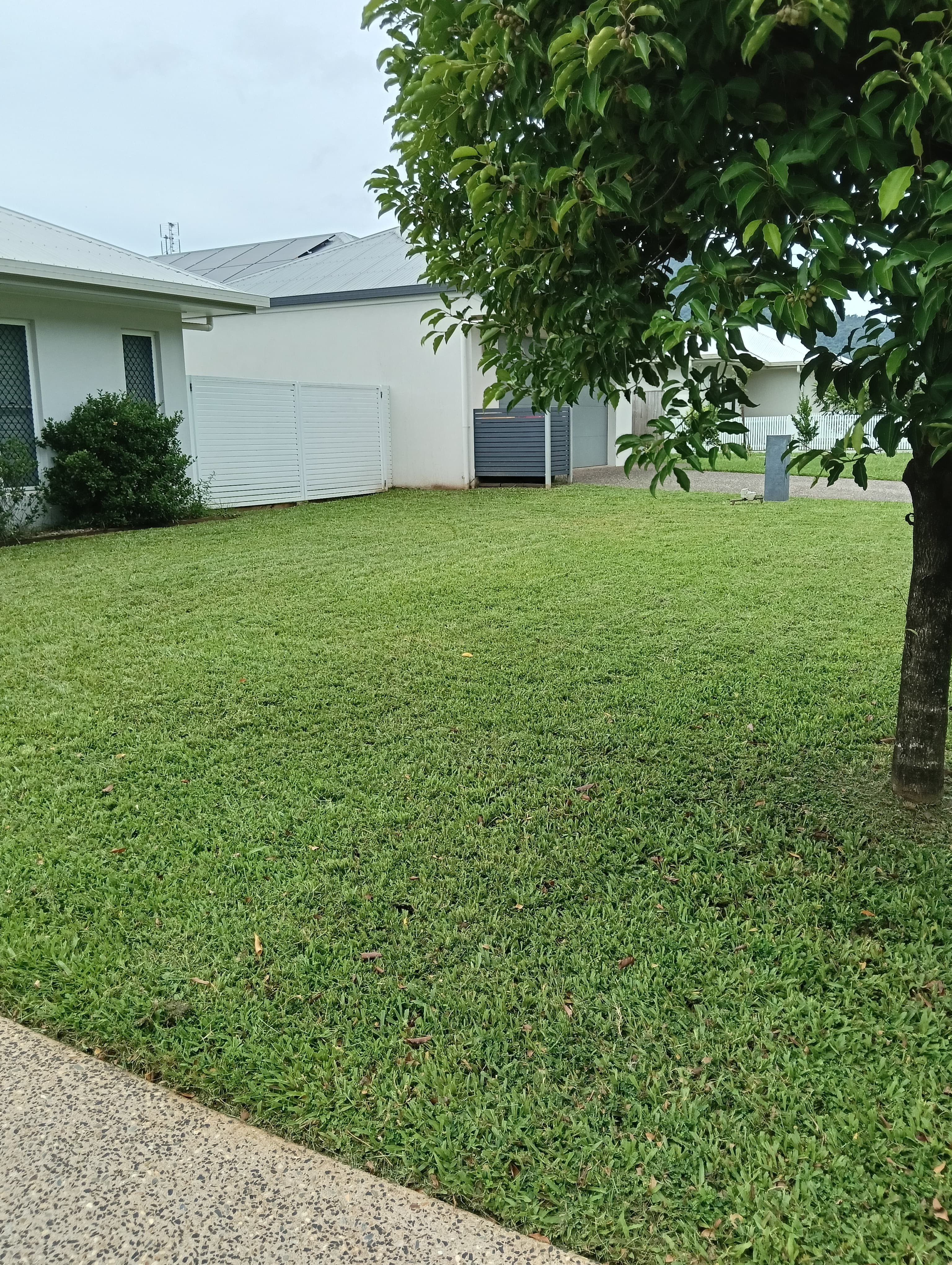 Front lawn mowing - After