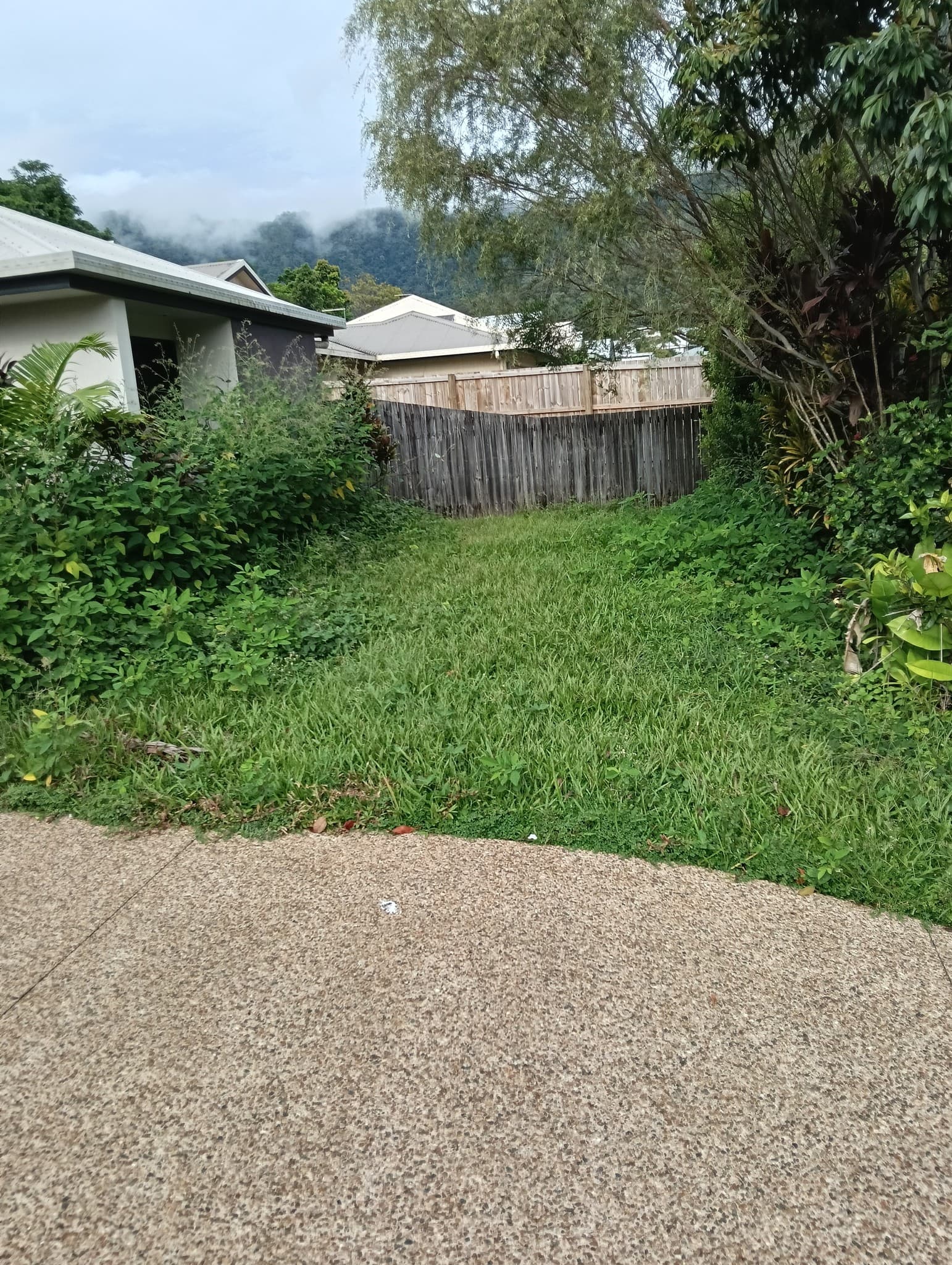 Property cleanup - Before